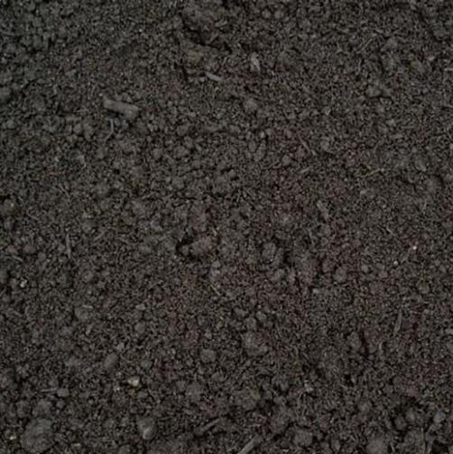 Premium Top Soil