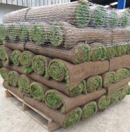 Turf